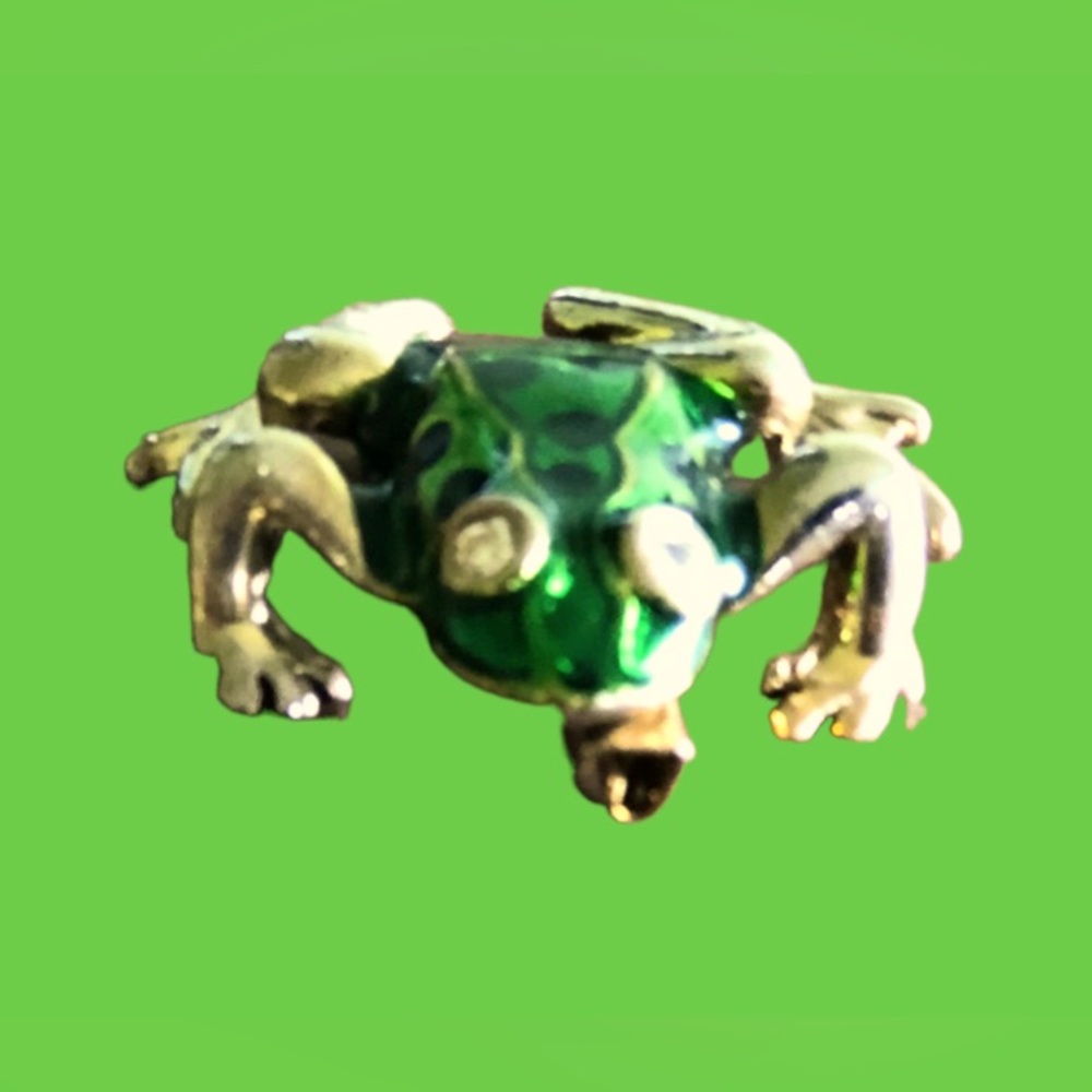 Vintage Frog Pin (Mint Condition)